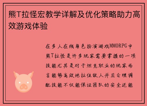 熊T拉怪宏教学详解及优化策略助力高效游戏体验